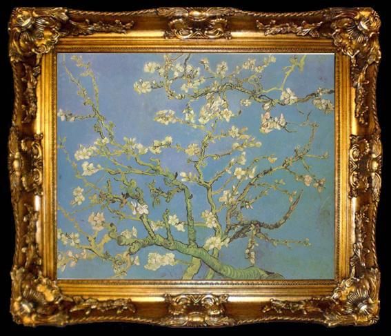 framed  Vincent Van Gogh Blossoming Almond Tree (nn04), ta009-2